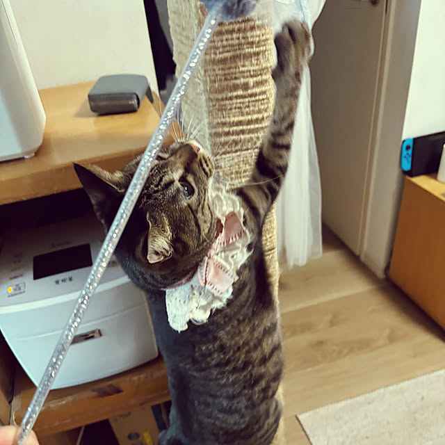 masamasaさんの部屋