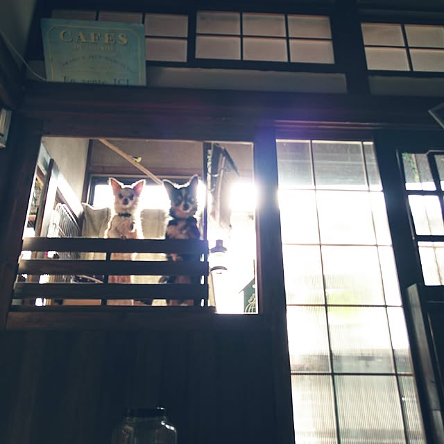 Nana40Nさんの実例写真