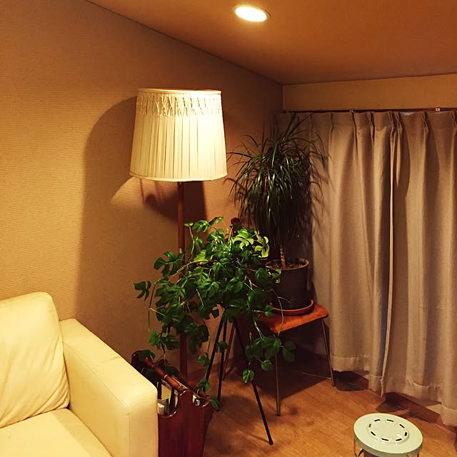 壁/天井/観葉植物/照明/アンティークのインテリア実例 - 2015-10-26 16:21:46