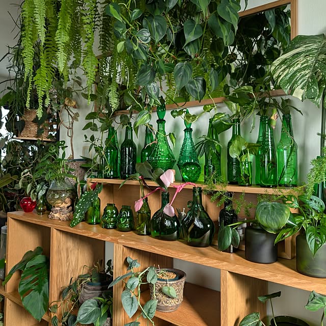 ayamameさんの実例写真