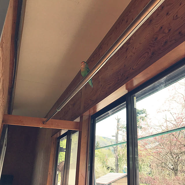 aoinokimiさんの実例写真