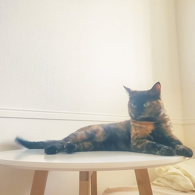 JIHYEさんの実例写真