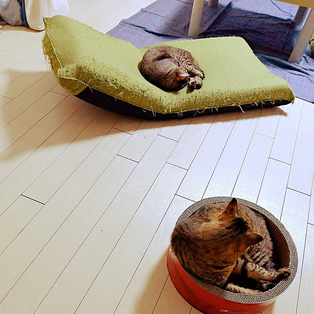 921akさんの実例写真