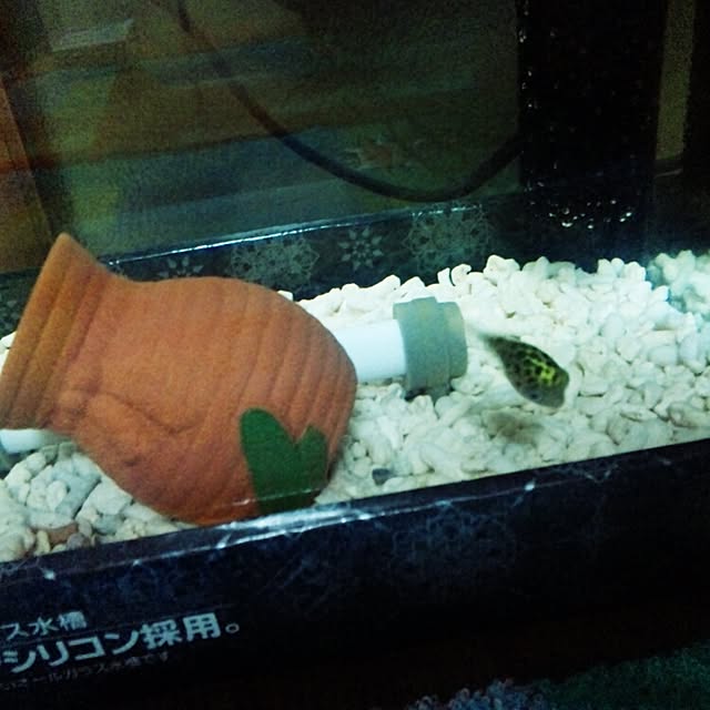 a_aさんの実例写真