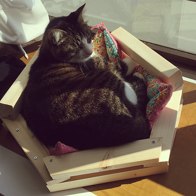 miruさんの実例写真