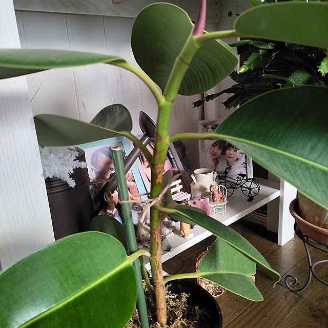 kiraさんの部屋