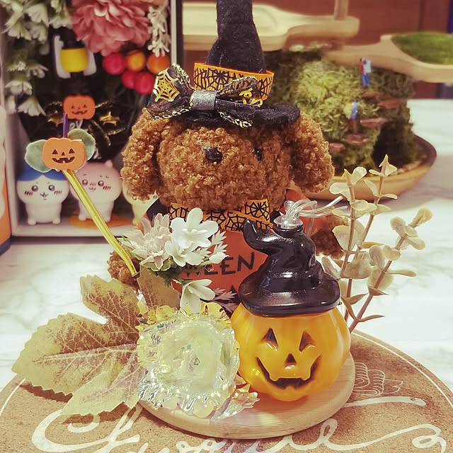 HOTARU.catさんの実例写真