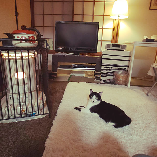 oseroさんの実例写真