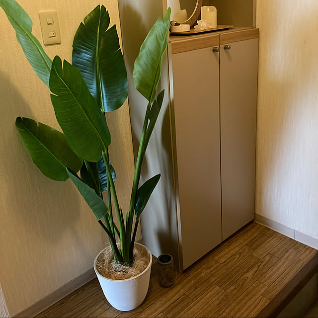 rukeさんの実例写真