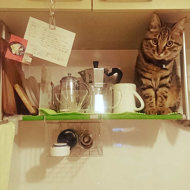 umecchuさんの実例写真