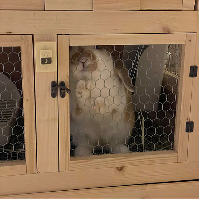 RABIHAさんの実例写真