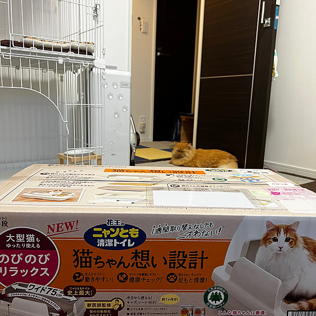 negimameさんの実例写真