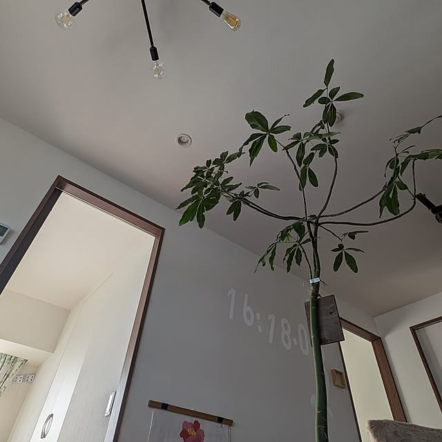 necoさんの部屋