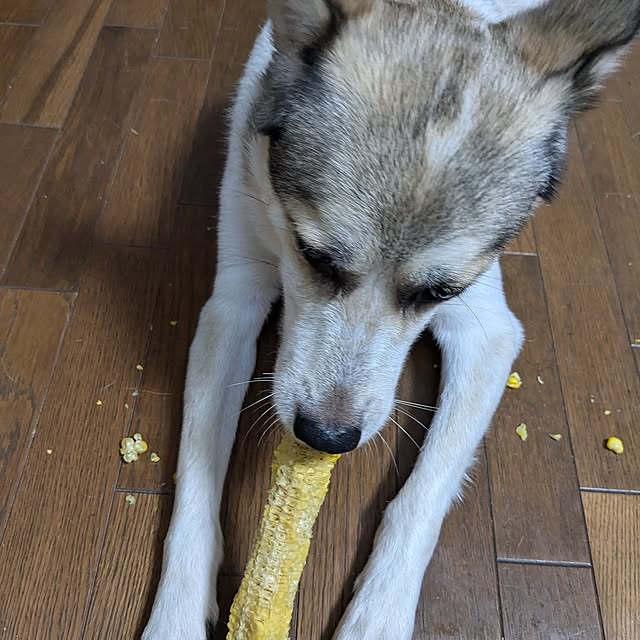 asaさんの部屋