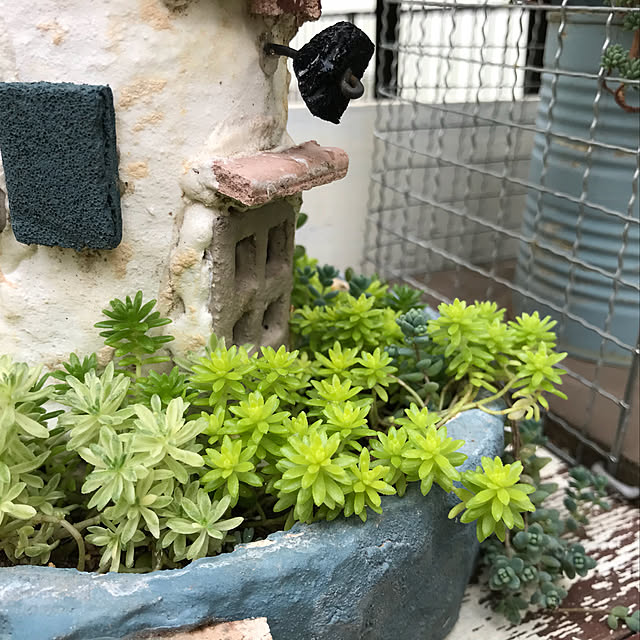 kokko3さんの実例写真