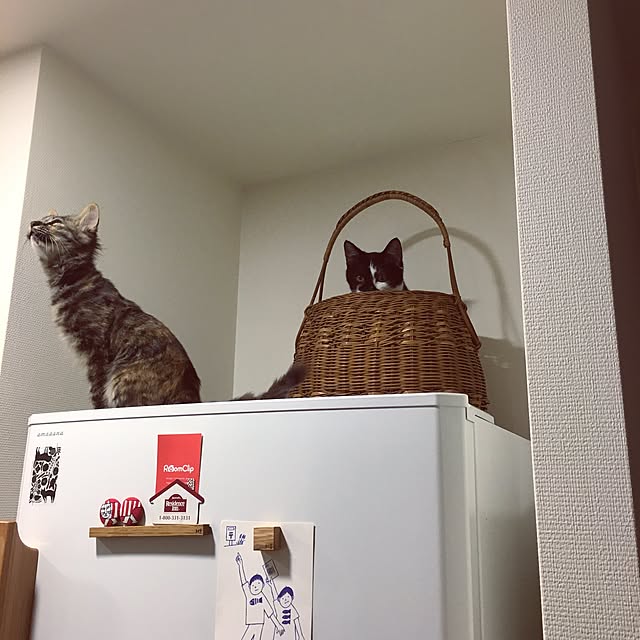 mikomaruさんの実例写真