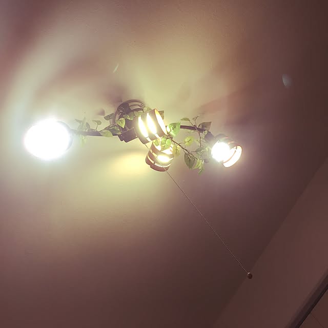 datさんの実例写真