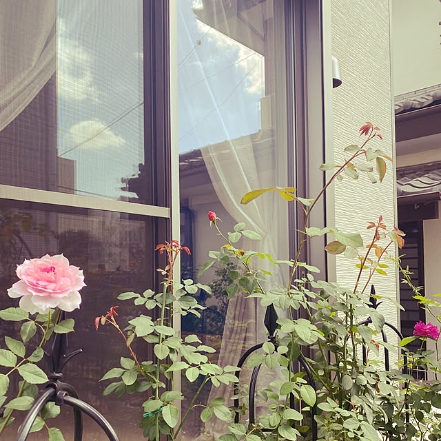 sariさんの部屋