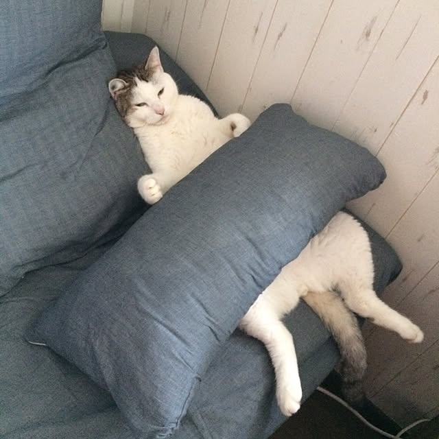 Happypinkさんの実例写真