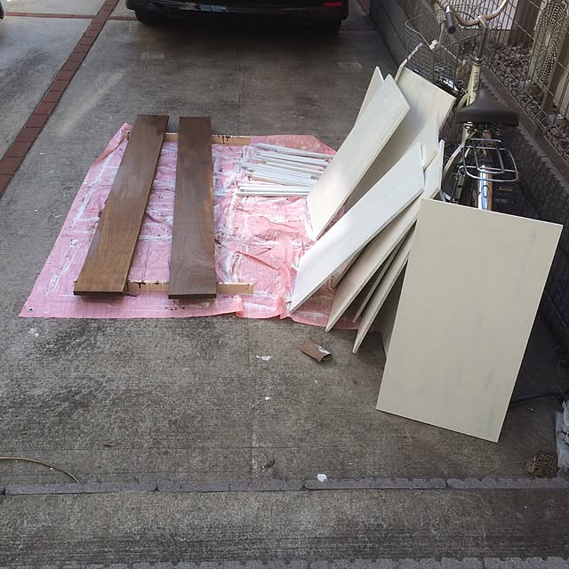 Adusaさんの実例写真