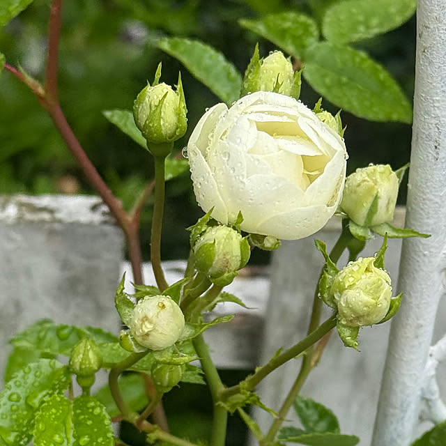 ami2720さんの部屋