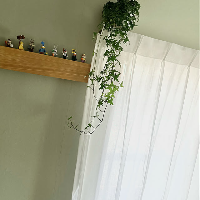 airpuricさんの実例写真