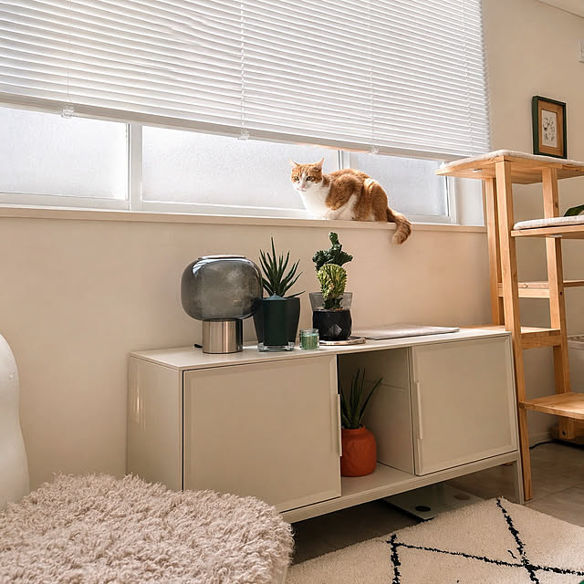 mako2yaさんの部屋