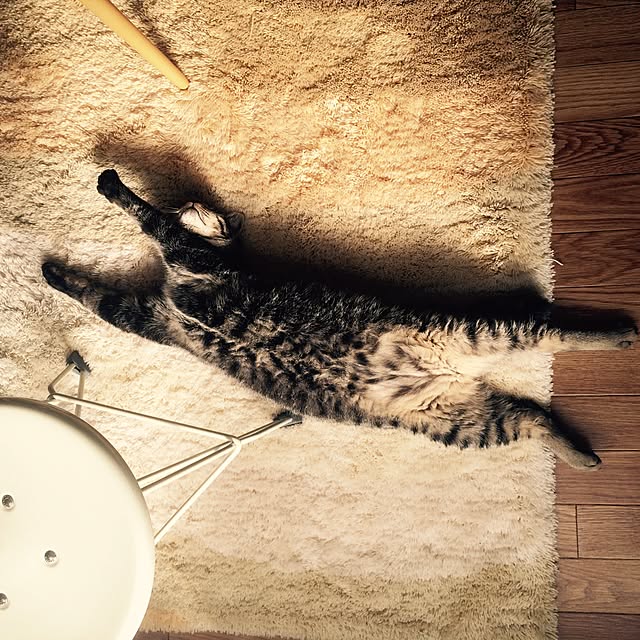 maruさんの実例写真