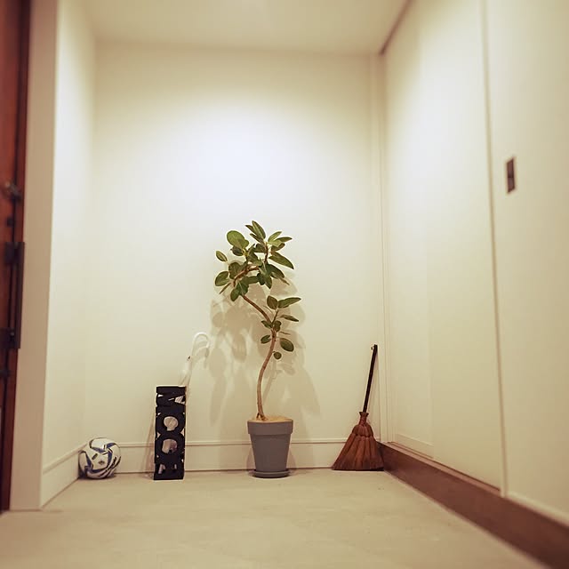 Isamiさんの実例写真
