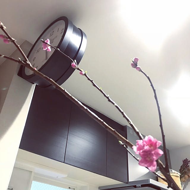 ha1111noさんの実例写真