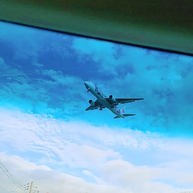 r0siereさんの部屋