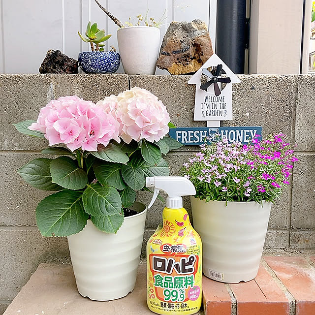 Dさんの実例写真