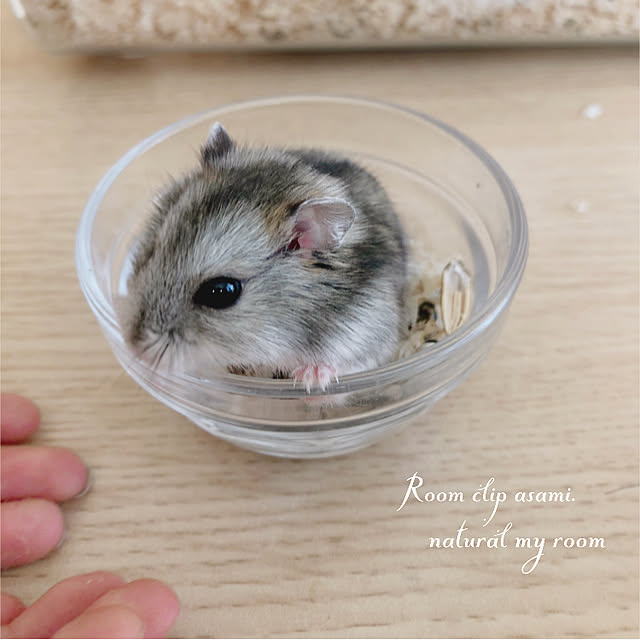 asami.さんの実例写真