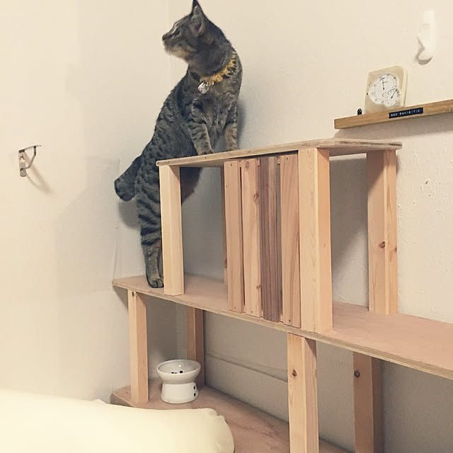 Mさんの実例写真