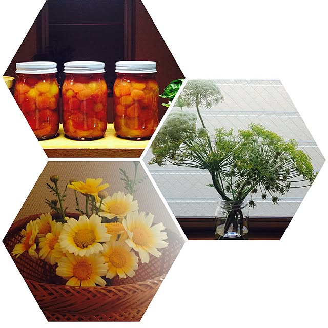 棚/植物/手作りのインテリア実例 - 2015-02-14 12:45:23