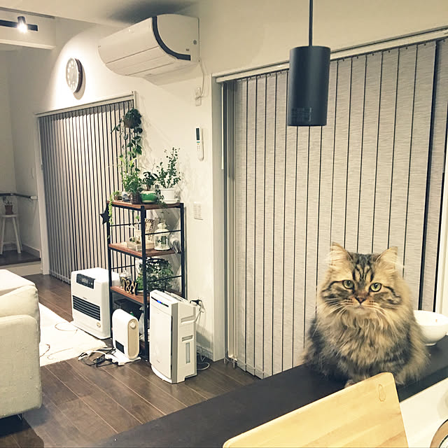 takiさんの実例写真