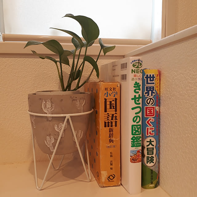 m.coccoさんの実例写真