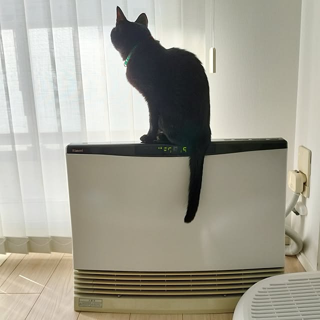 sakuraさんの部屋