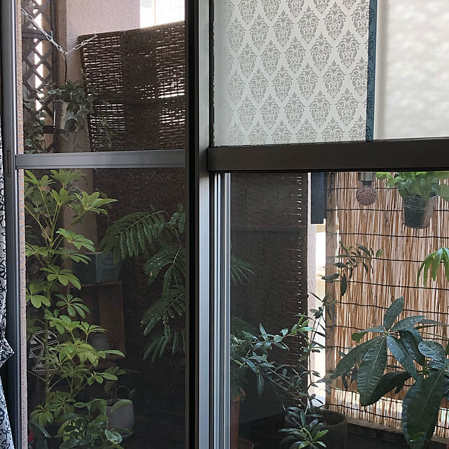 ikukoさんの実例写真