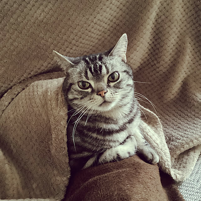 richanさんの実例写真
