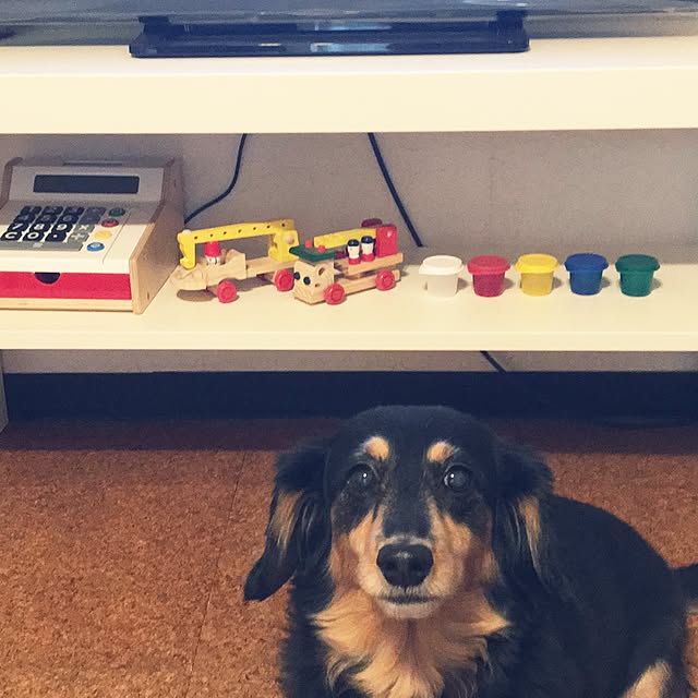 ohanaさんの実例写真