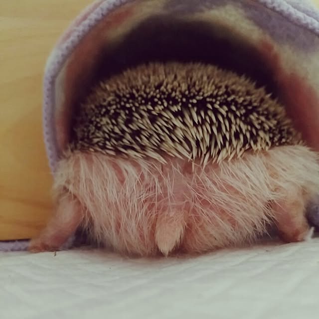 kuruさんの実例写真