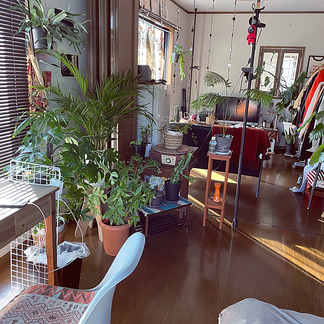 himetanさんの部屋