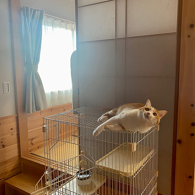 senbei.sakuramochiさんの実例写真