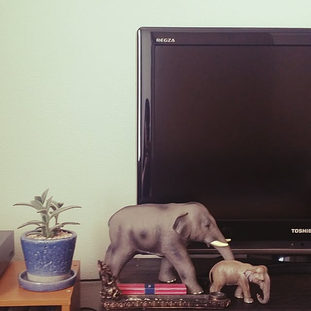 kinokoさんの実例写真