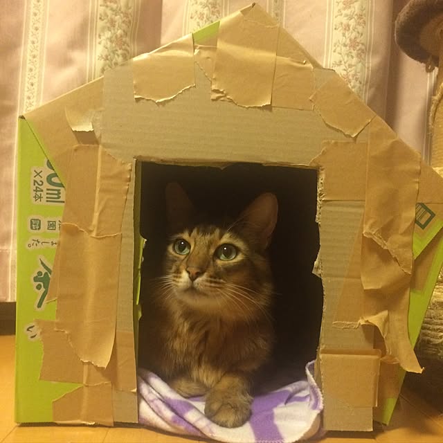 Yumiさんの実例写真