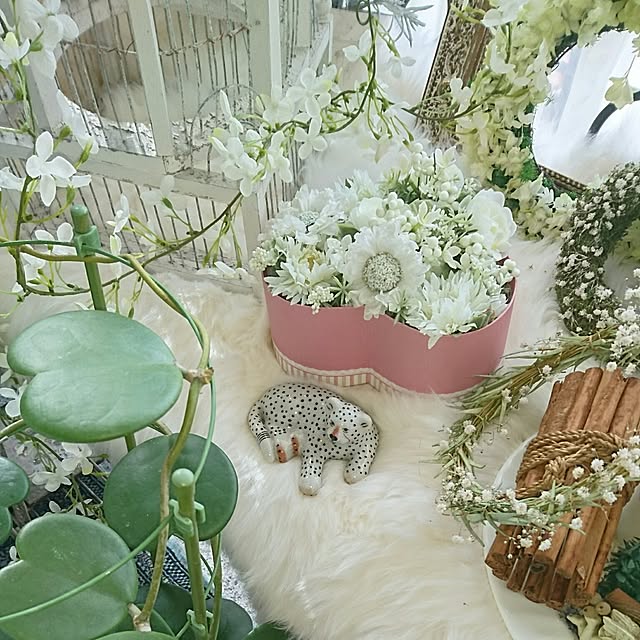 kimiさんの実例写真