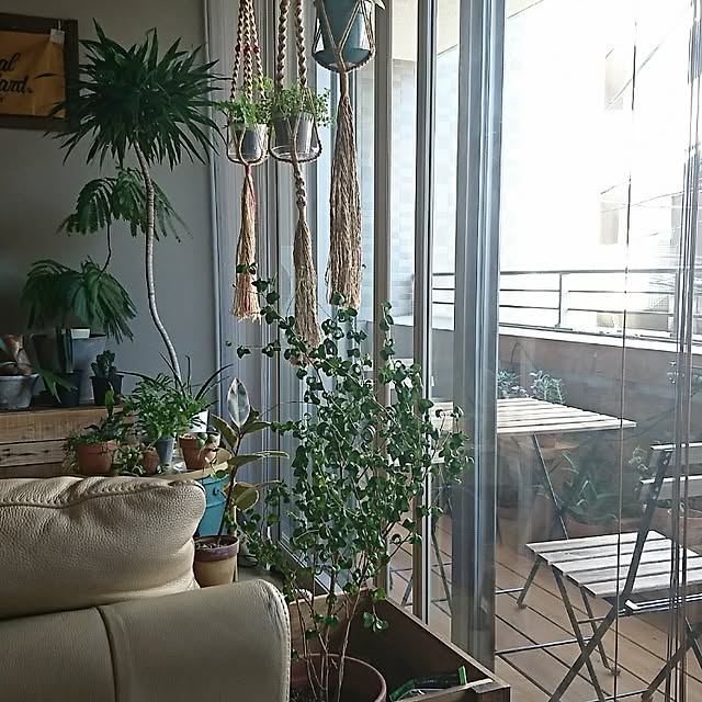 cafe-plageさんの実例写真
