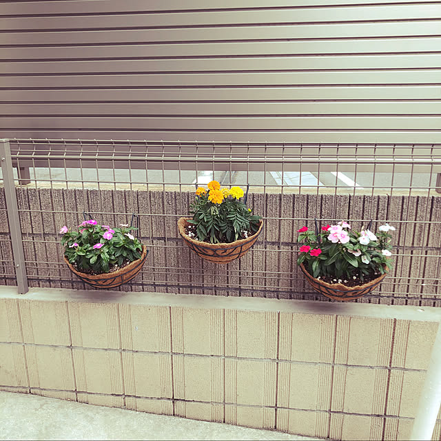 Miwakoさんの実例写真