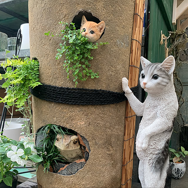 Aqettyさんの実例写真